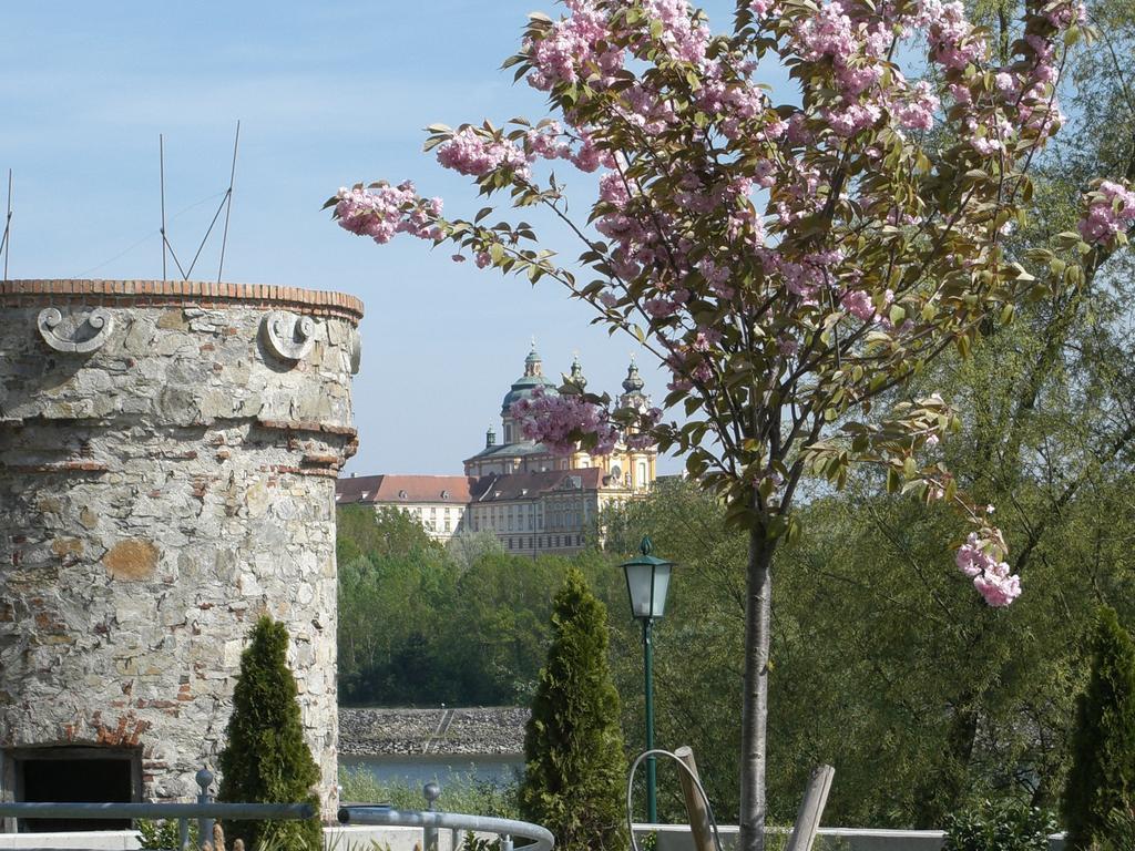 Landhotel Wachau Emmersdorf an der Donau Bagian luar foto