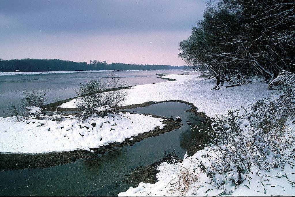 Landhotel Wachau Emmersdorf an der Donau Bagian luar foto