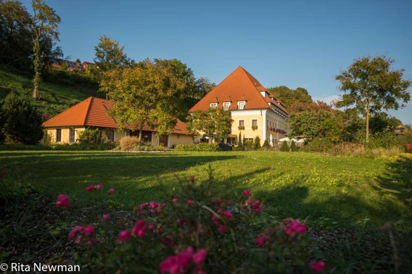 Landhotel Wachau Emmersdorf an der Donau Bagian luar foto